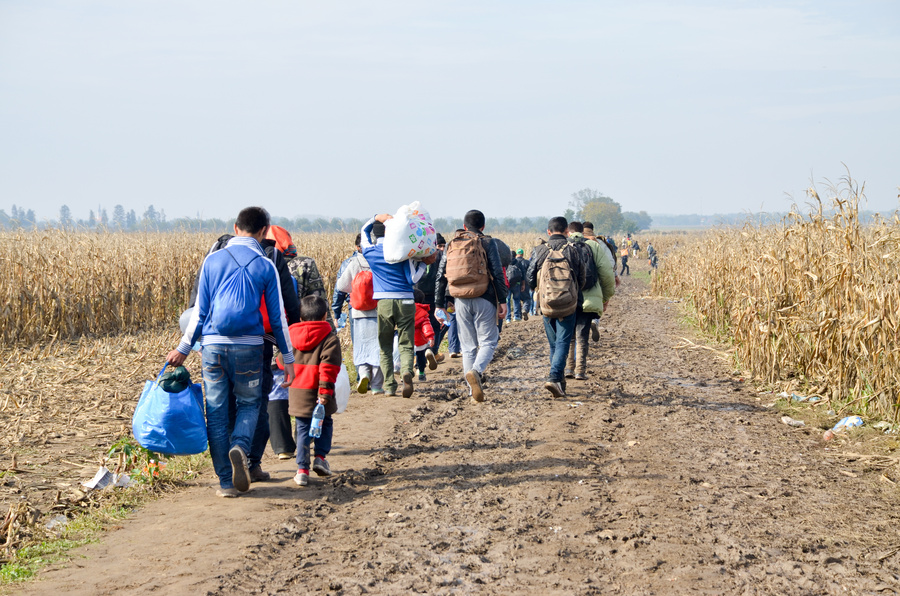 Refugees and migrants walking on fields. Group of refugees from